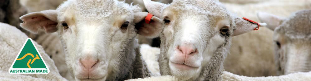 Sheep Tagged with SET Tags