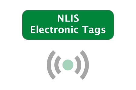 Picture for category NLIS EID Tags