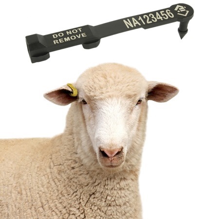 Picture for category Sheep Tags