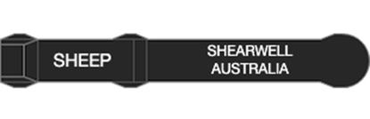 Picture of Queensland Visual Tag - Layout 2