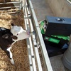 Picture of Heatwave Milk Warmer by Pyon