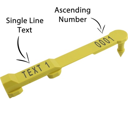Picture of Queensland Visual Tag - Layout 1