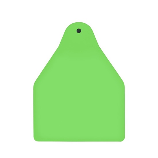 Picture of Large Male BOS | Blank Write-On Tag | Cattle