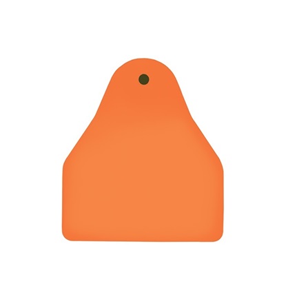 Picture of Small Male BOS | Blank Write-On Tag | Sheep