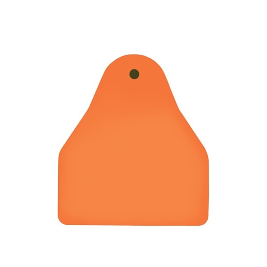 Picture of Small Male BOS | Blank Write-On Tag | Sheep