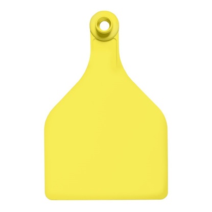 Picture of XL Female BOS | Blank Write-on Tag | Cattle