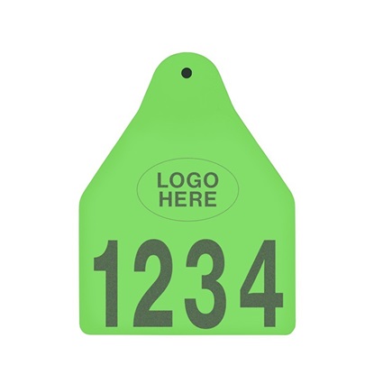 Picture of Large Male BOS | Layout 1 + Logo | Cattle