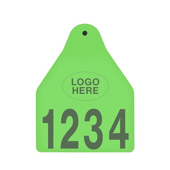 Picture of Large Male BOS | Layout 1 + Logo | Cattle