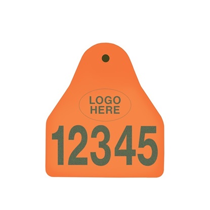 Picture of Small Male BOS | Layout 1 + Logo | Sheep