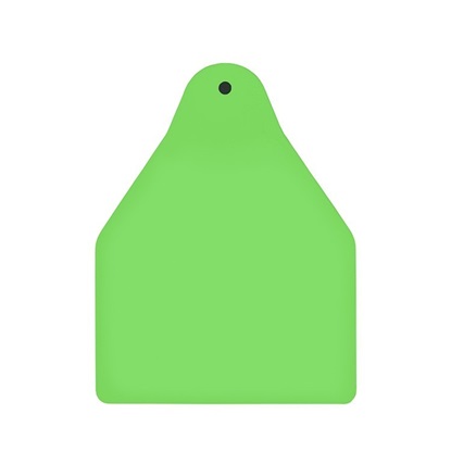 Picture of Large Male BOS | Blank Write-On Tag | Sheep