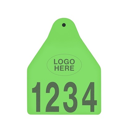 Picture of Large Male BOS | Layout 1 + Logo | Sheep