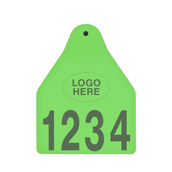 Picture of Large Male BOS | Layout 1 + Logo | Sheep