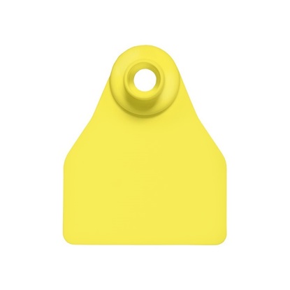 Picture of Small Female BOS | Blank Write-On Tag | Cattle