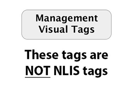 Picture for category Management Visual Tags