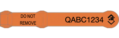 Picture of Queensland NLIS Visual Tag - Layout 1