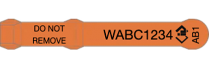 Picture of Western Australia NLIS Visual Tag - Layout 1