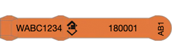 Picture of Western Australia NLIS Visual Tag - Layout 3